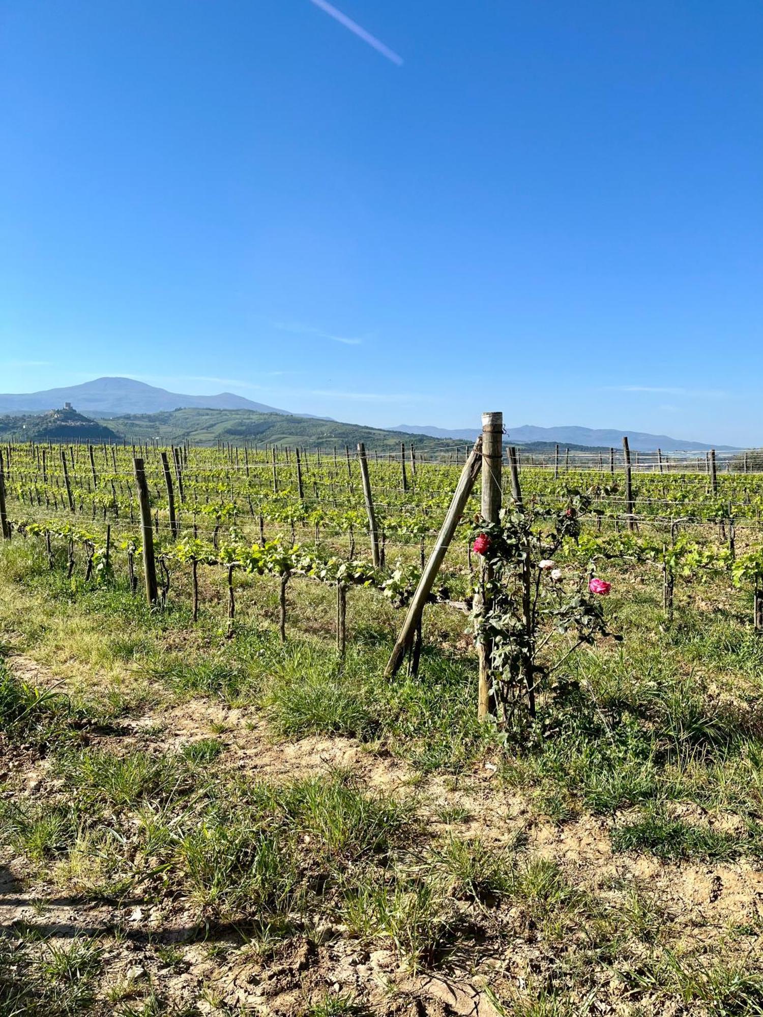 Agriturismo Le Querciole In Val D'Orcia Bagno Vignoni Εξωτερικό φωτογραφία