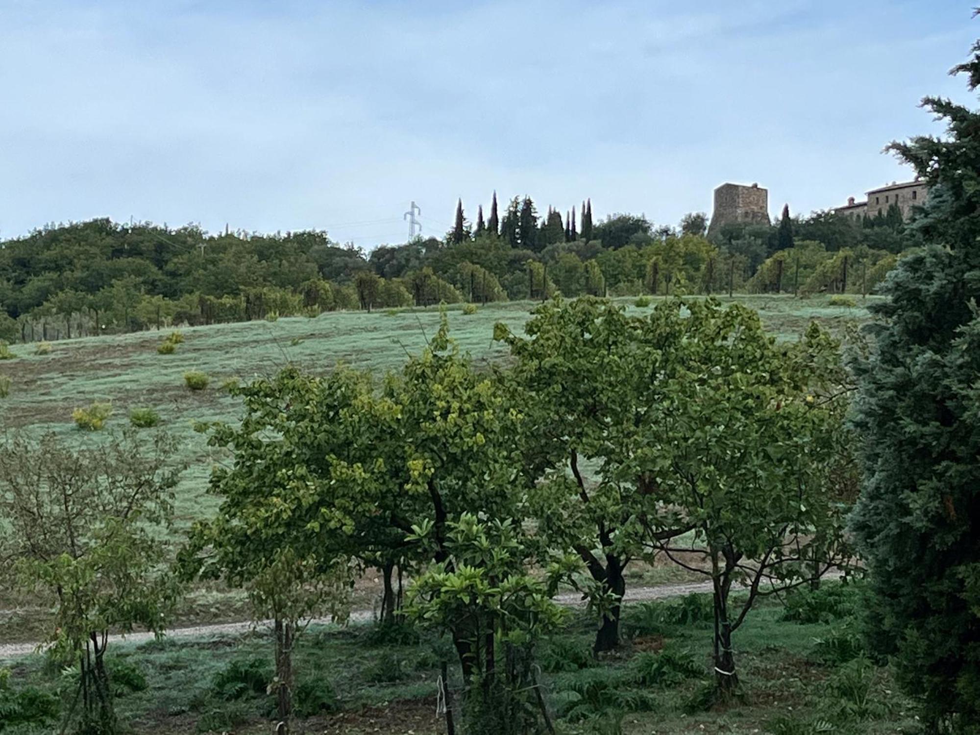 Agriturismo Le Querciole In Val D'Orcia Bagno Vignoni Εξωτερικό φωτογραφία