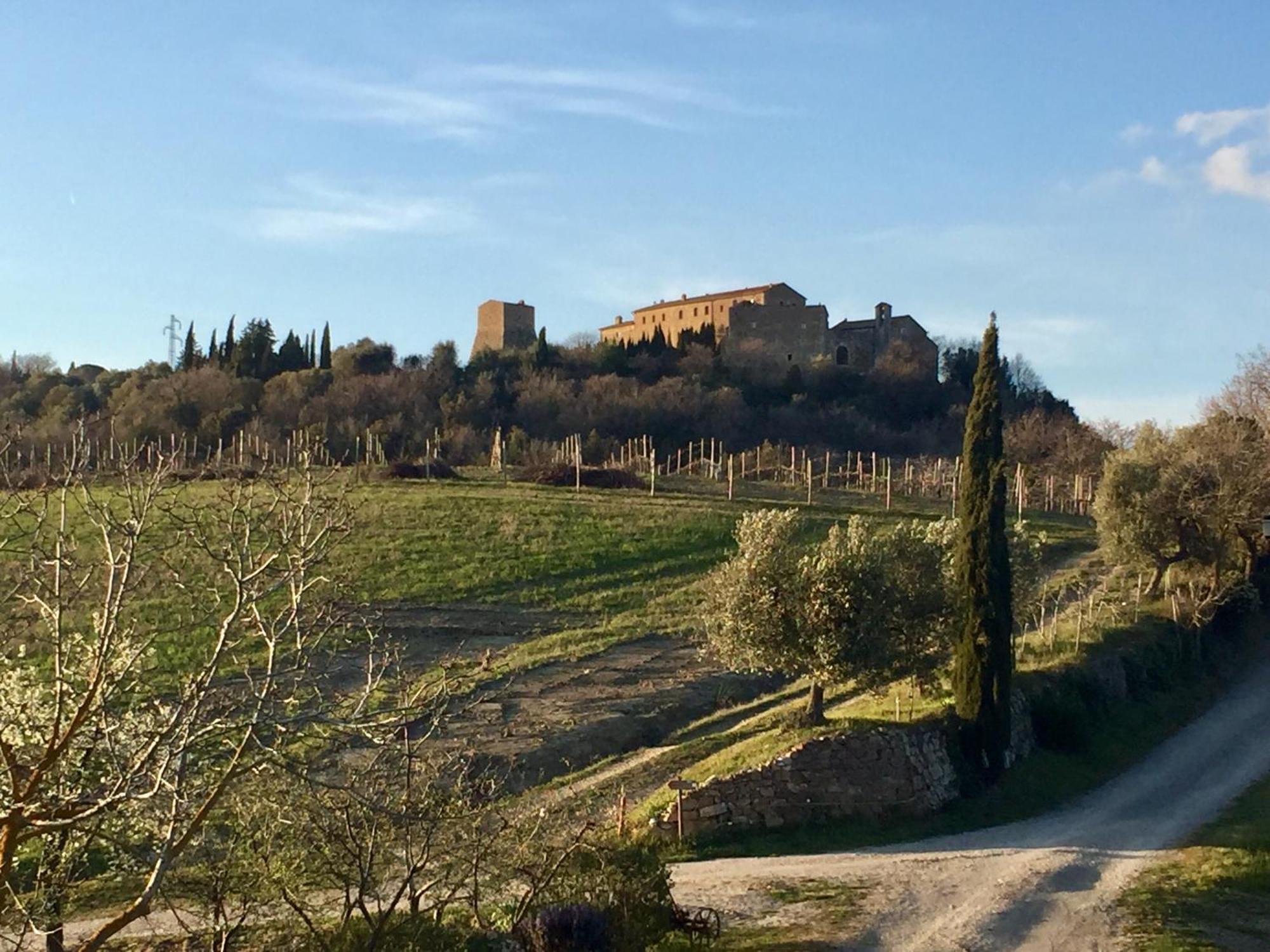 Agriturismo Le Querciole In Val D'Orcia Bagno Vignoni Εξωτερικό φωτογραφία