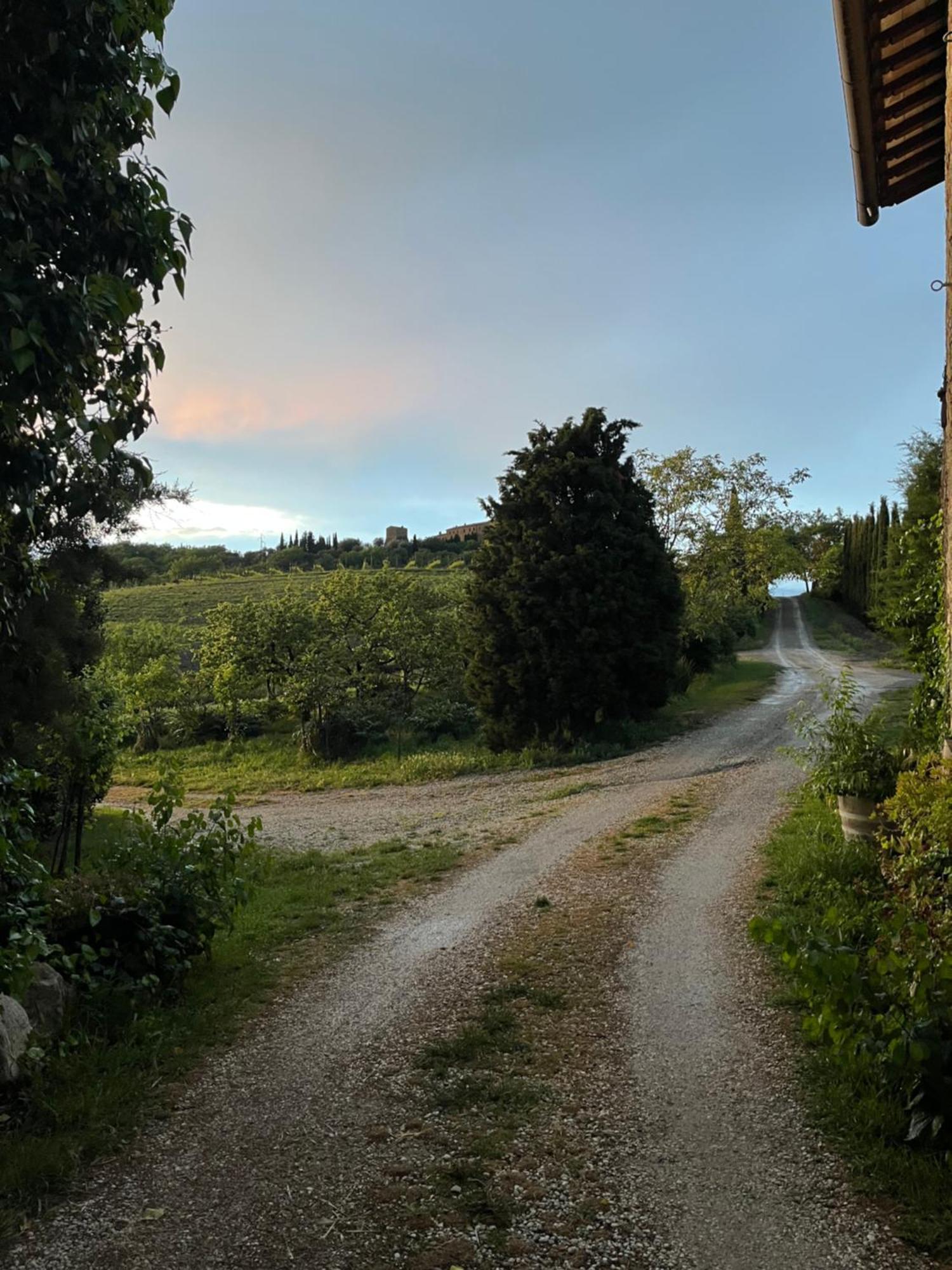 Agriturismo Le Querciole In Val D'Orcia Bagno Vignoni Εξωτερικό φωτογραφία