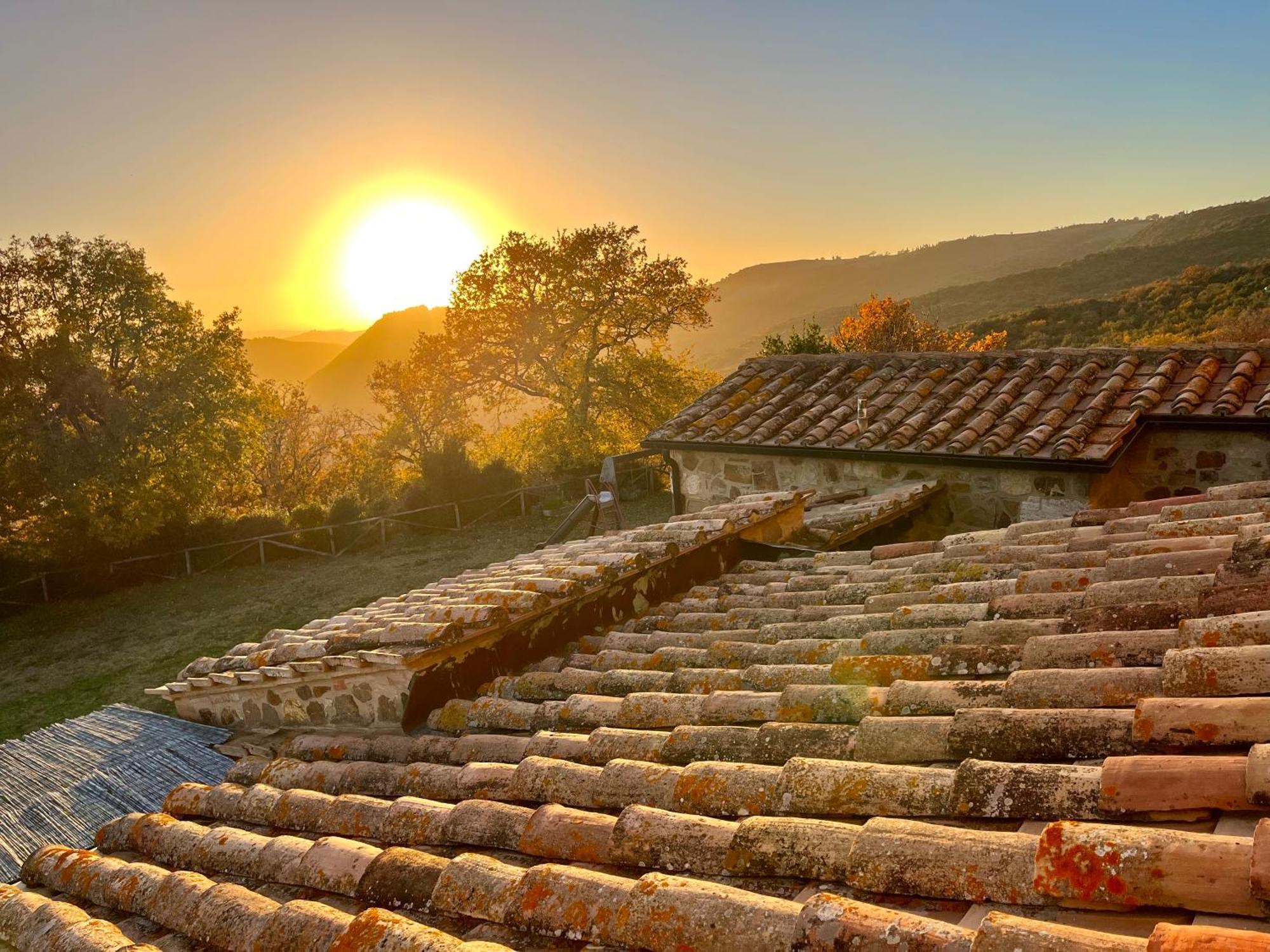 Agriturismo Le Querciole In Val D'Orcia Bagno Vignoni Εξωτερικό φωτογραφία