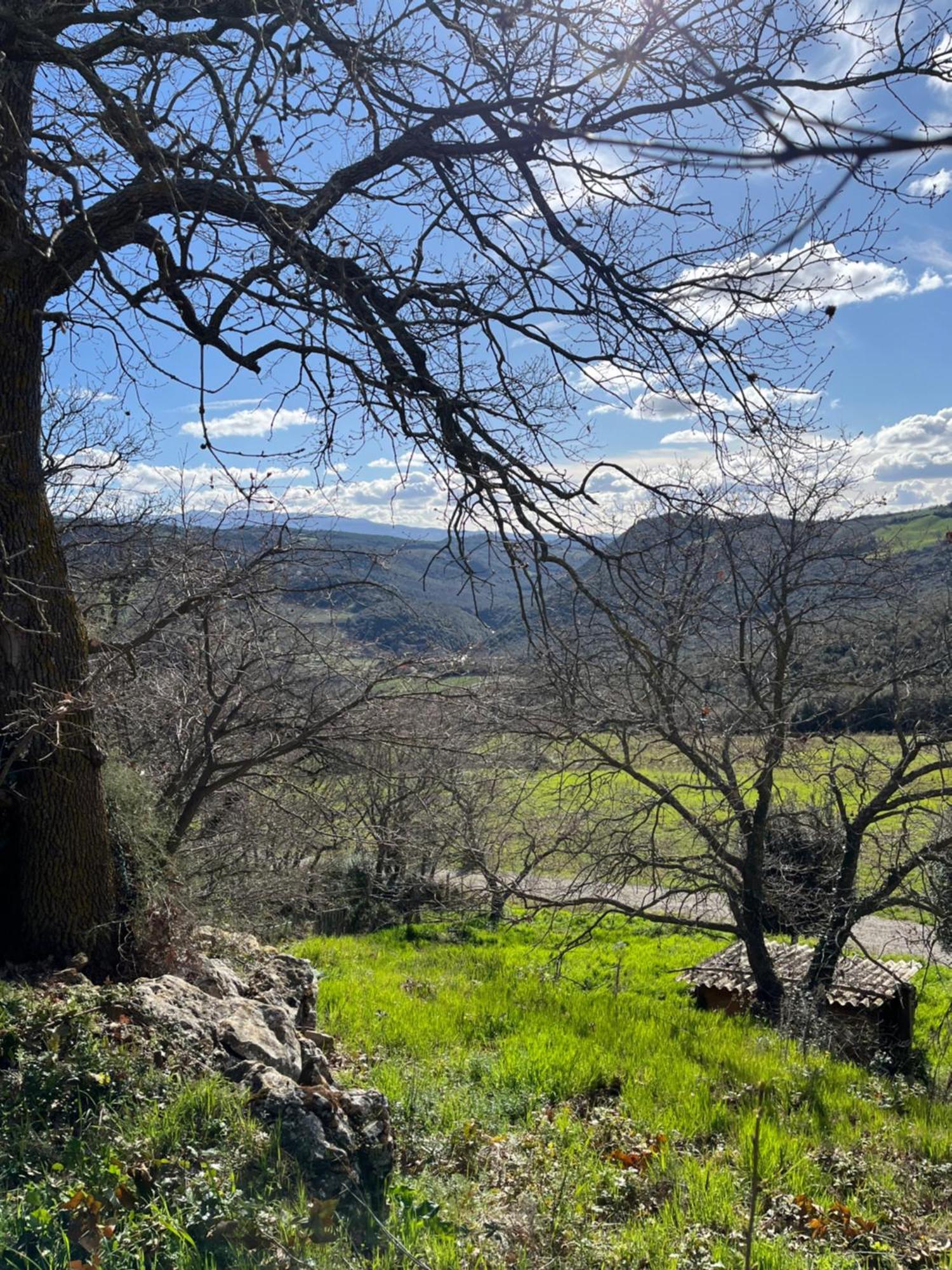 Agriturismo Le Querciole In Val D'Orcia Bagno Vignoni Εξωτερικό φωτογραφία